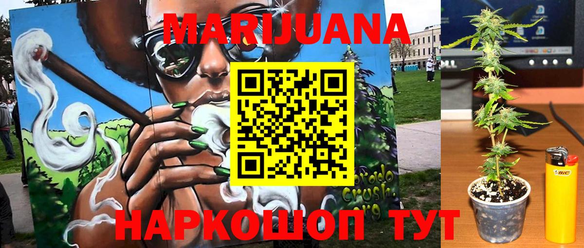 Бошки марихуана план  Вход с VPN  Юрга  Бошки Шишки SATIVA & INDICA  Марихуана сатива 